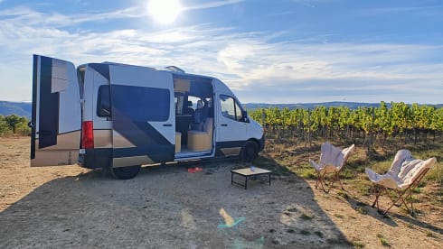 Freddie – Freddie der Abenteuerbus!!