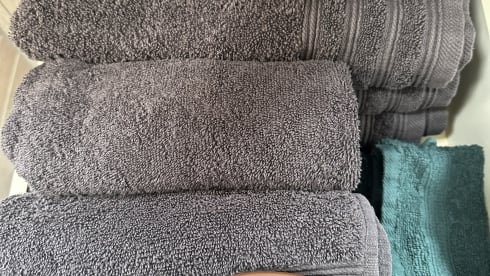 Van Put on the road – 4p Roller Team semi-integrated from 2026