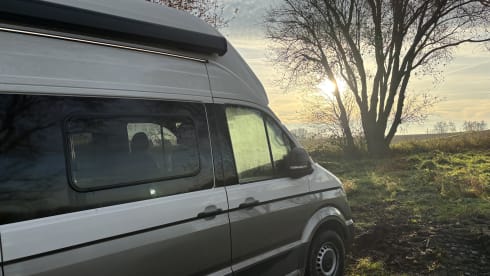 Grote beer – 4p Volkswagen campervan from 2022