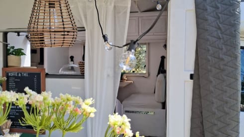 Betty – 6-seater Fiat Alcove from 1999