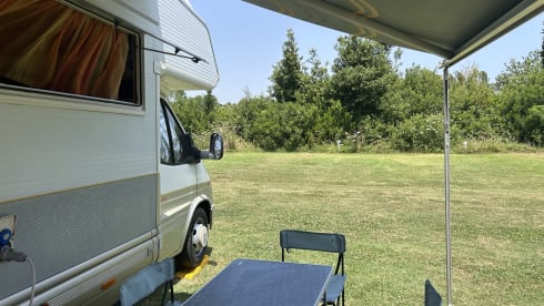 Hakuna matata – Mansardato Laika