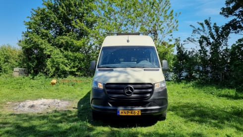 Sol – 2p Mercedes-Benz bus from 2019