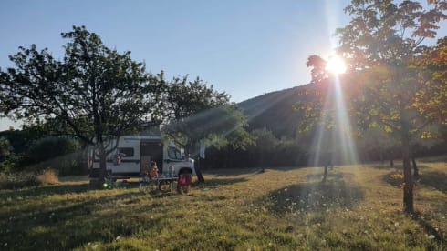 Fritz – 4p Fiat bus hymer
