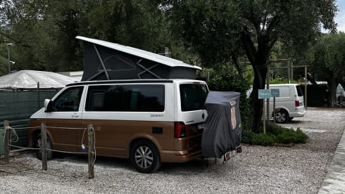 VW California T6.1 Ocean