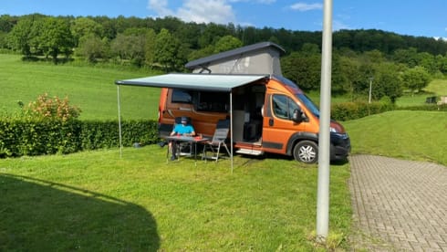  Pössl – 4er Pössl Bus von 2018