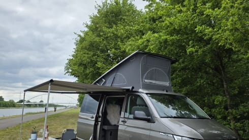 CoastRider – Volkswagen California Coast from 2024 - 4p