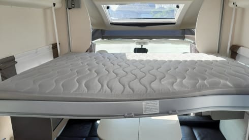 4p Challenger semi-integrated uit 2019
