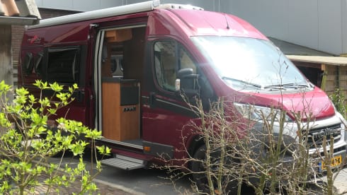 malibu – 2p Malibu bus uit 2015