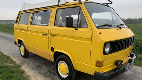 BAHAMAS – Volkswagen Bus T3