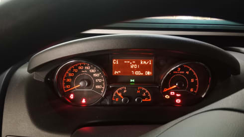 Gian – Giottiline Siena 350