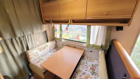 Freddy – "Camper Mansardato Fiat Ducato : Classico Vintage Familiare"