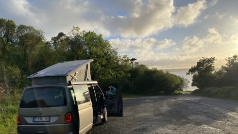 the.VANhoutte – 4p Volkswagen bus from 2019