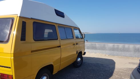 CHICO – cozy, neat, canary yellow oldtimer VW T3 for rent!