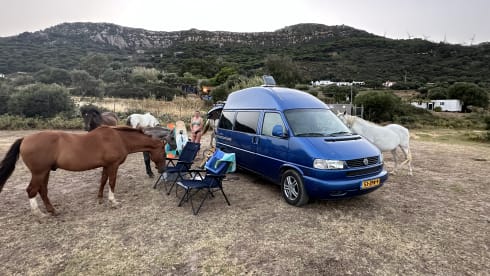 Amigo – Amigo de blauwe VW T4