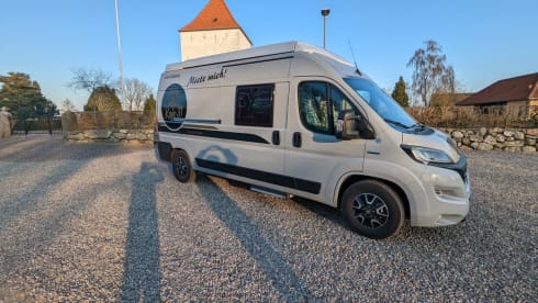 Der echte Norden Nr. 2 – bunk31 #2