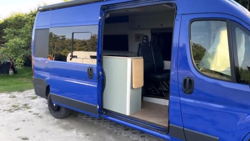 3p Peugeot bus from 2016