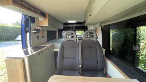 3p Peugeot bus from 2016