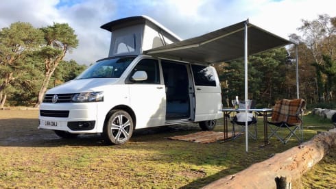 Bailey  – Luxury VW Campervan Hire