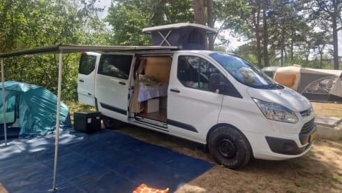Joe's Veggie Van – 2p Ford campervan uit 2026