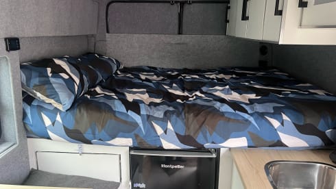 White Shark  – Wild Camper