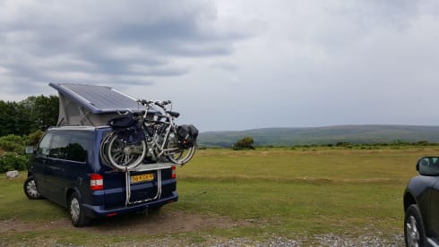 strong, tough VW T5 - California bus camper