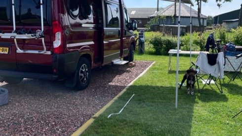 Bus camper Malibu 600 DB GT in perfect condition for 2 persons (Sdam)