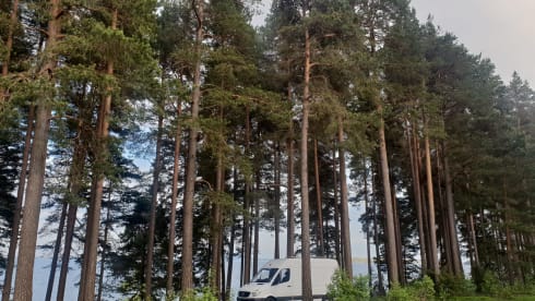 Atmospheric Mercedes-Benz bus camper 2 person "My Benz"