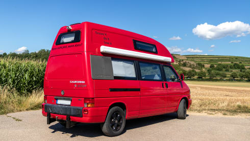 Bulli – VW T4 California Exclusive