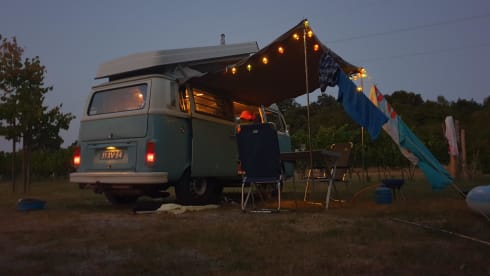 Brum – Volkswagen T2 baby blue with 6 cylinder
