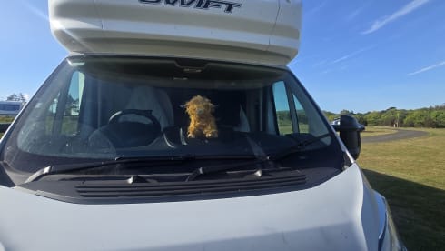 The MoHo – 6 berth Swift alcove from 2022