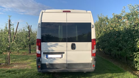 Peugeot Boxer L4 uit 2016  – Jungle Vibes with YPKE