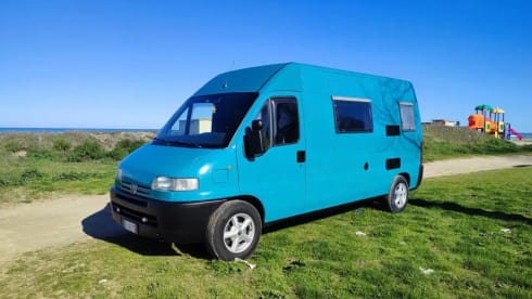 Puffolo – Ready to go!