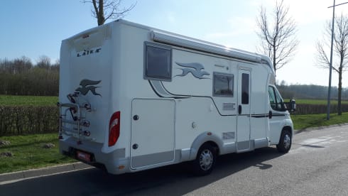 Vrijheid – Luxe Laika Ecovip 309.