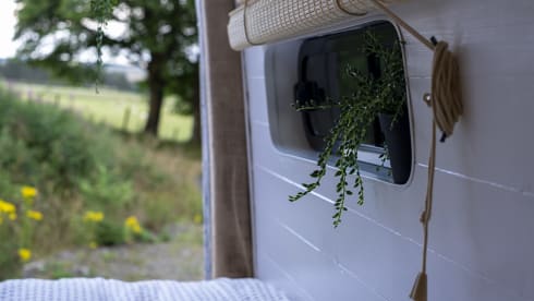 Zola –  - 2 berth fully off-grid sprinter conversion