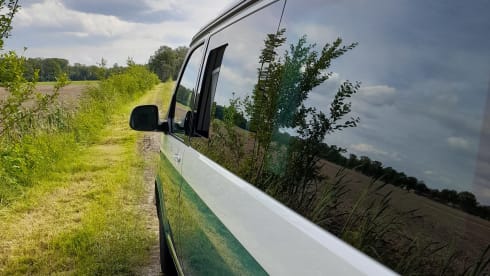 Kampie – Volkswagen California Ocean automatique