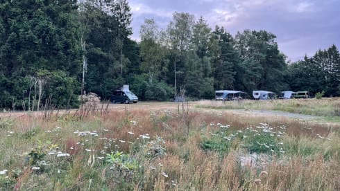 Luigi – Volkswagen California 2005 with lifting roof 4P