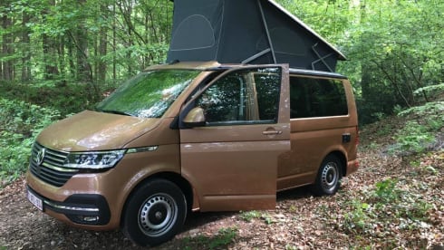 ROSIE – VolkswagenCalifornia 2022