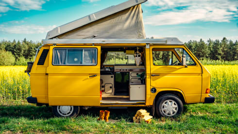 Simba – the yellow retro Volkswagen van with lifting roof