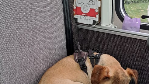 2p Weinsberg bus uit 2020