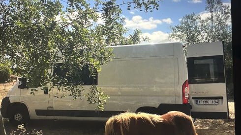 Dolly – 3p Peugeot bus uit 2013