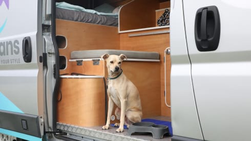 Van for 2 - Surftrip