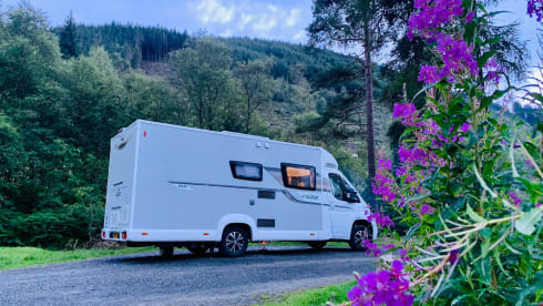 BETTY – ELDDIS VOGUE 155