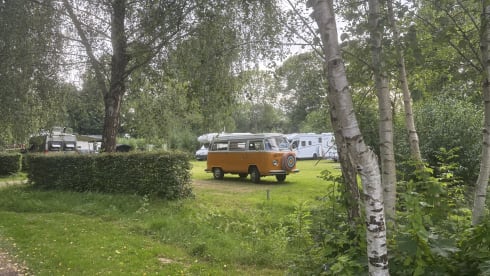 Explore the Veluwe in retro style