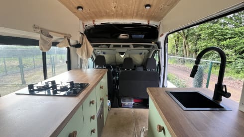 Poppy – Ford Campervan (2019) 2p + huisdier