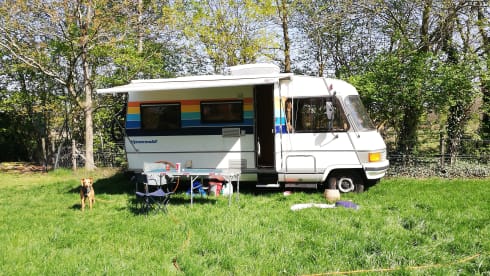 Spacious and original Fiat Hymer 2.5t Diesel