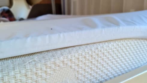 Flash – Chausson Flash 10 with electronic drop down bed