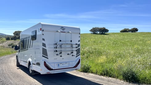 Van 337 – 3p Carado bus from 2024