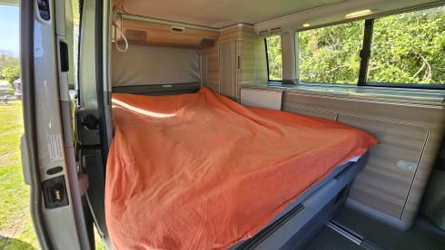 Free Bird – VW California, T5 automaat uit 2014