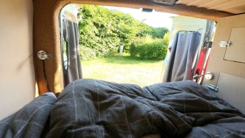 Kompakter Renault Trafic für Camper und Abenteurer