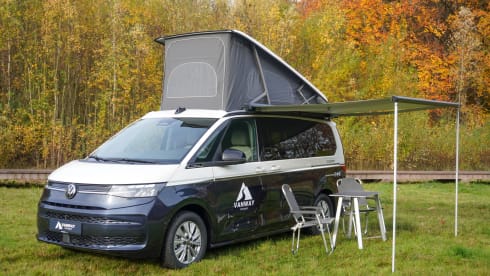 Lando – 4p Volkswagen California campervan uit 2026